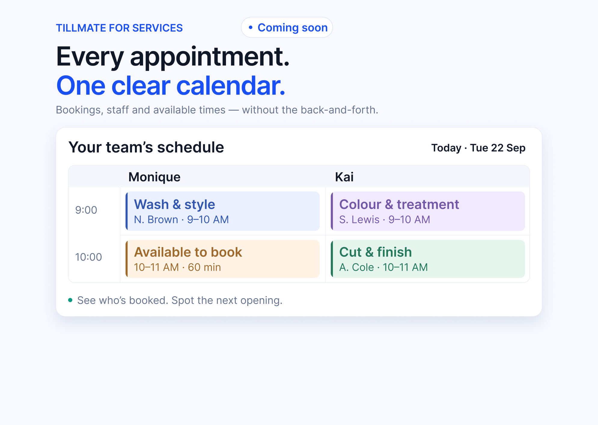 Vista previa del diseño de Services, con interfaz en inglés: citas y disponibilidad por miembro del equipo. Módulo disponible próximamente.
